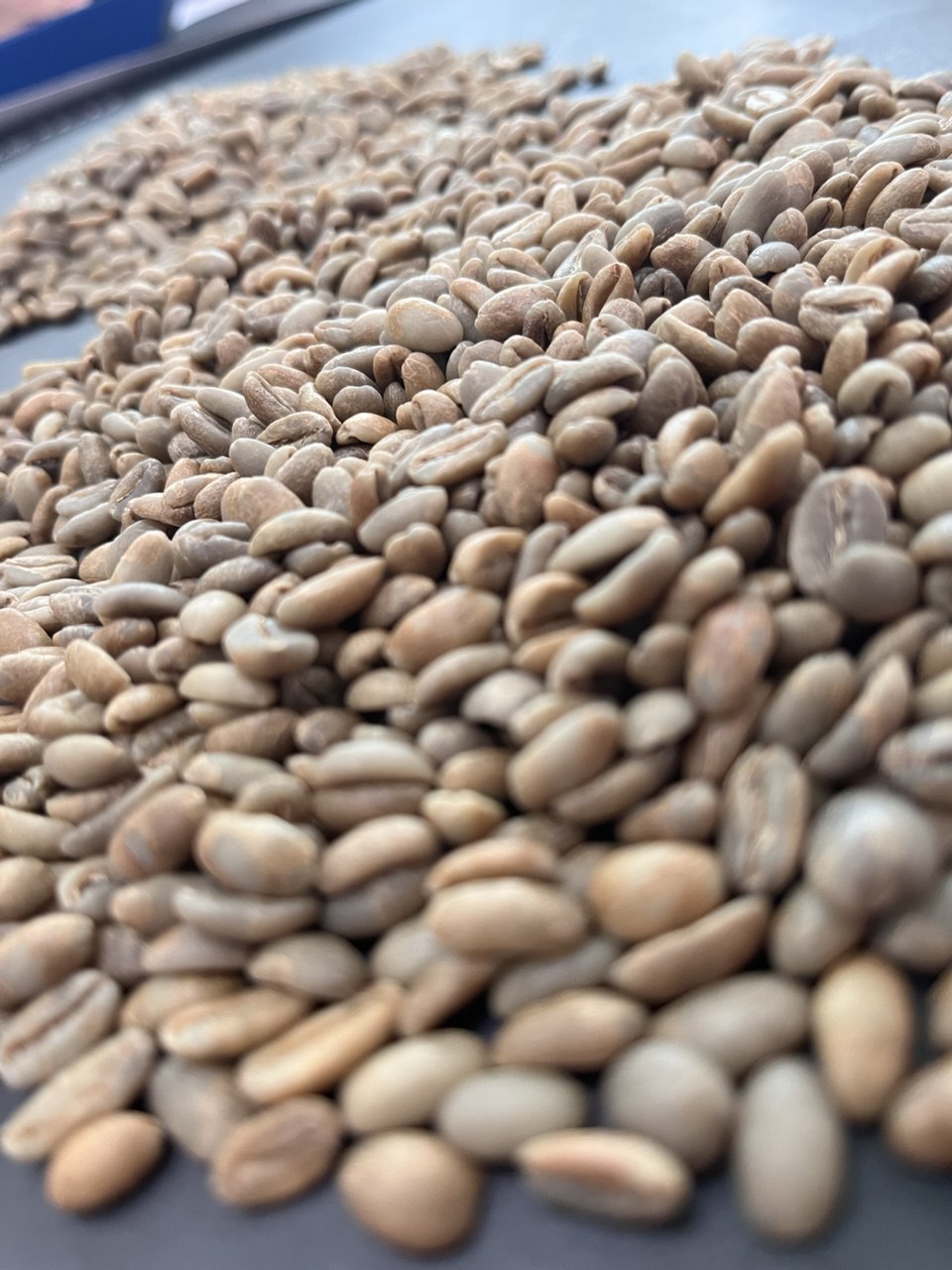 Photo of Nuroast Coffe Roasters