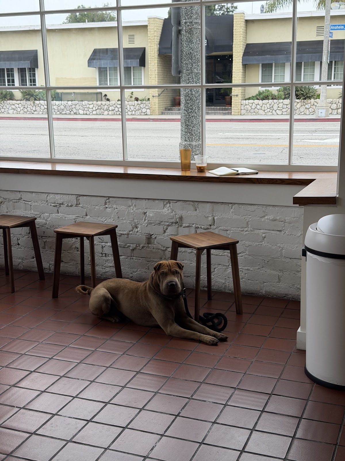 Cyclops Coffee interior