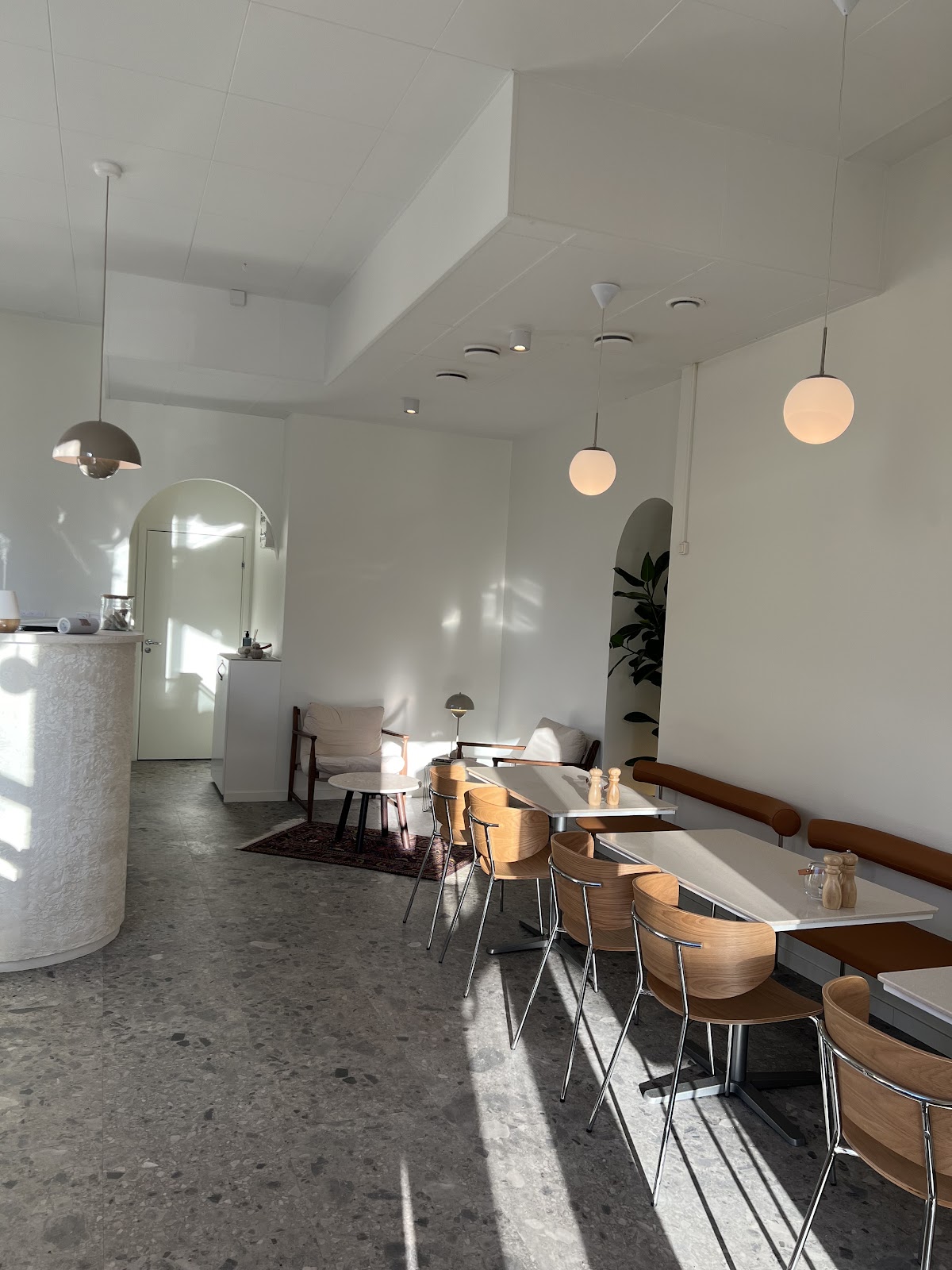 Ari's Corner interior