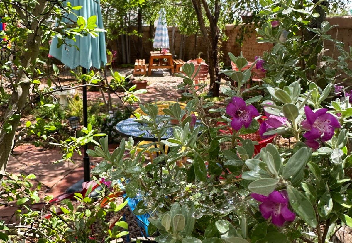Photo of Grandmas Coffee Garden