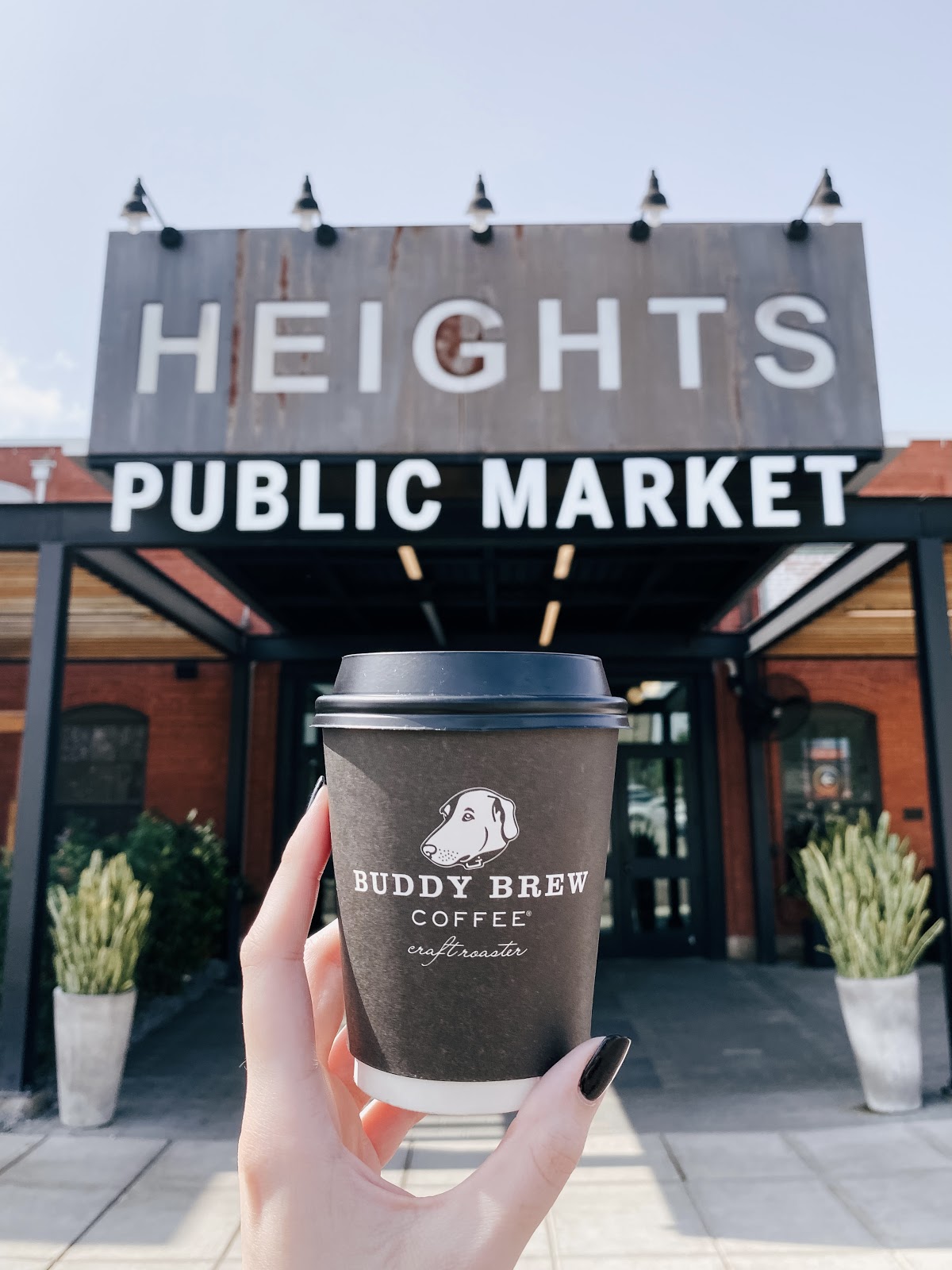Buddy Brew Coffee interior