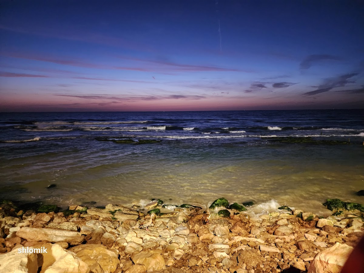 Photo of קפה הטיילת