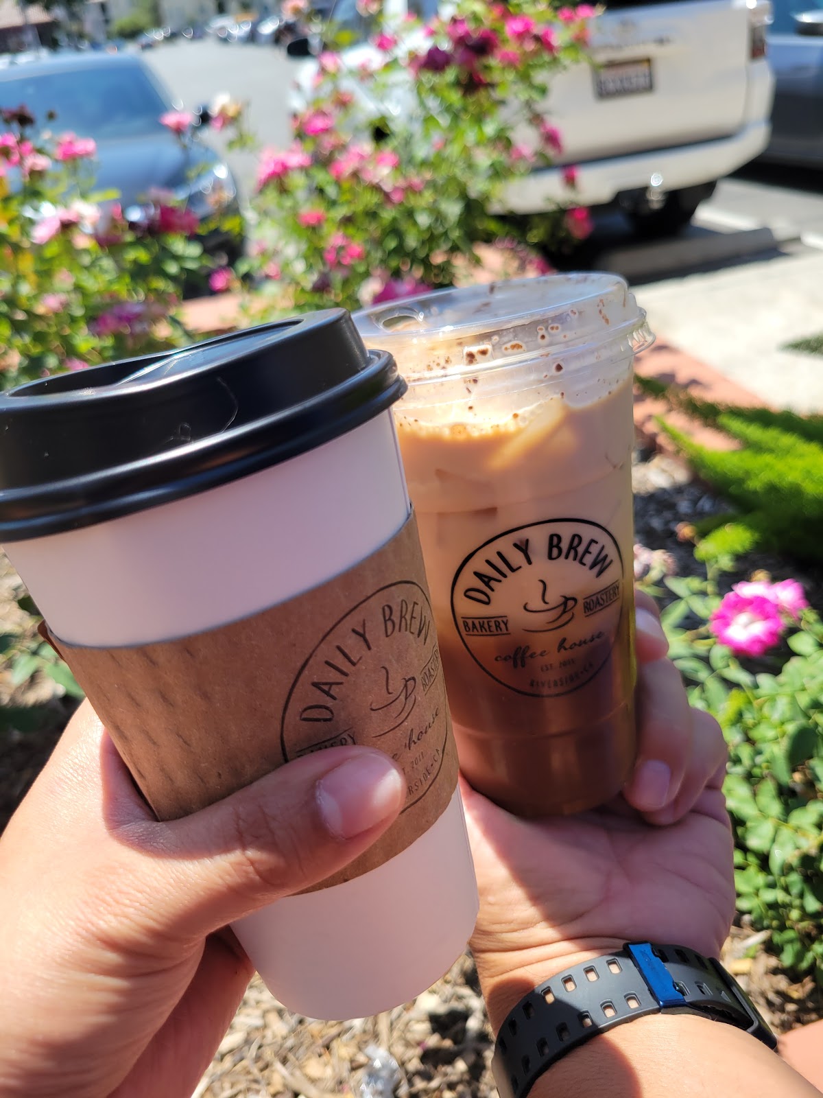 Photo of DAILY BREW COFFEE HOUSE, BAKERY, & ROASTERY