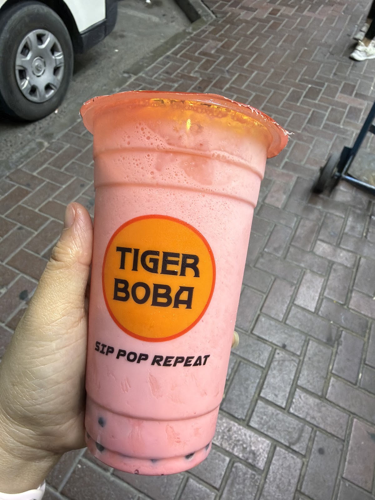 Photo of TIGER BOBA (SATWA)