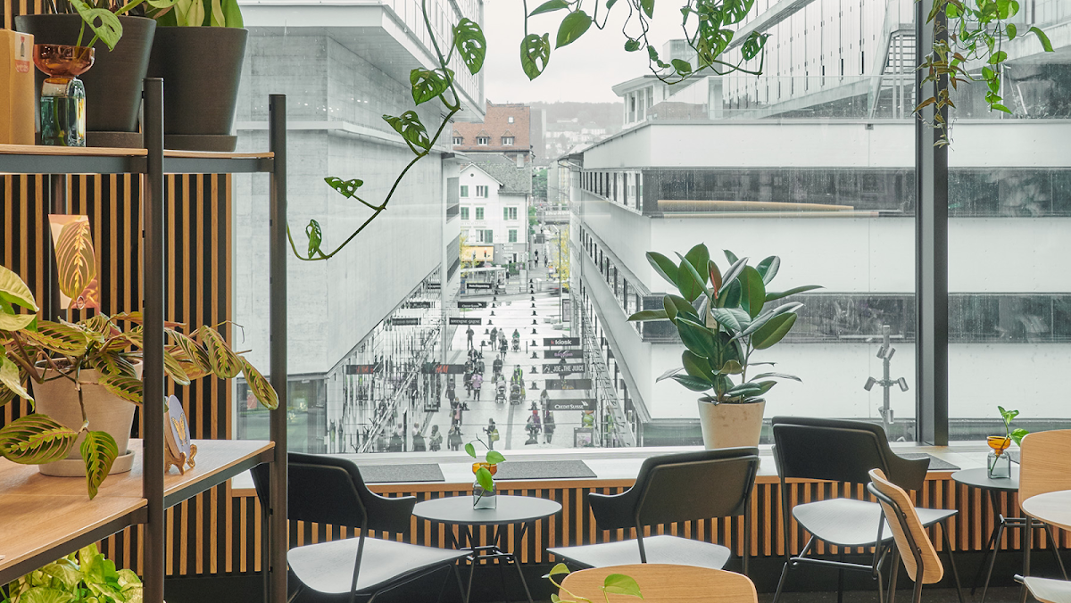 Coffee and Plants interior