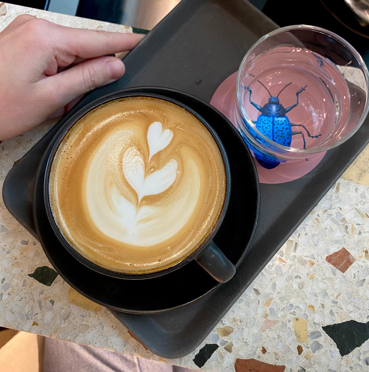 Photo of Coffee and Plants