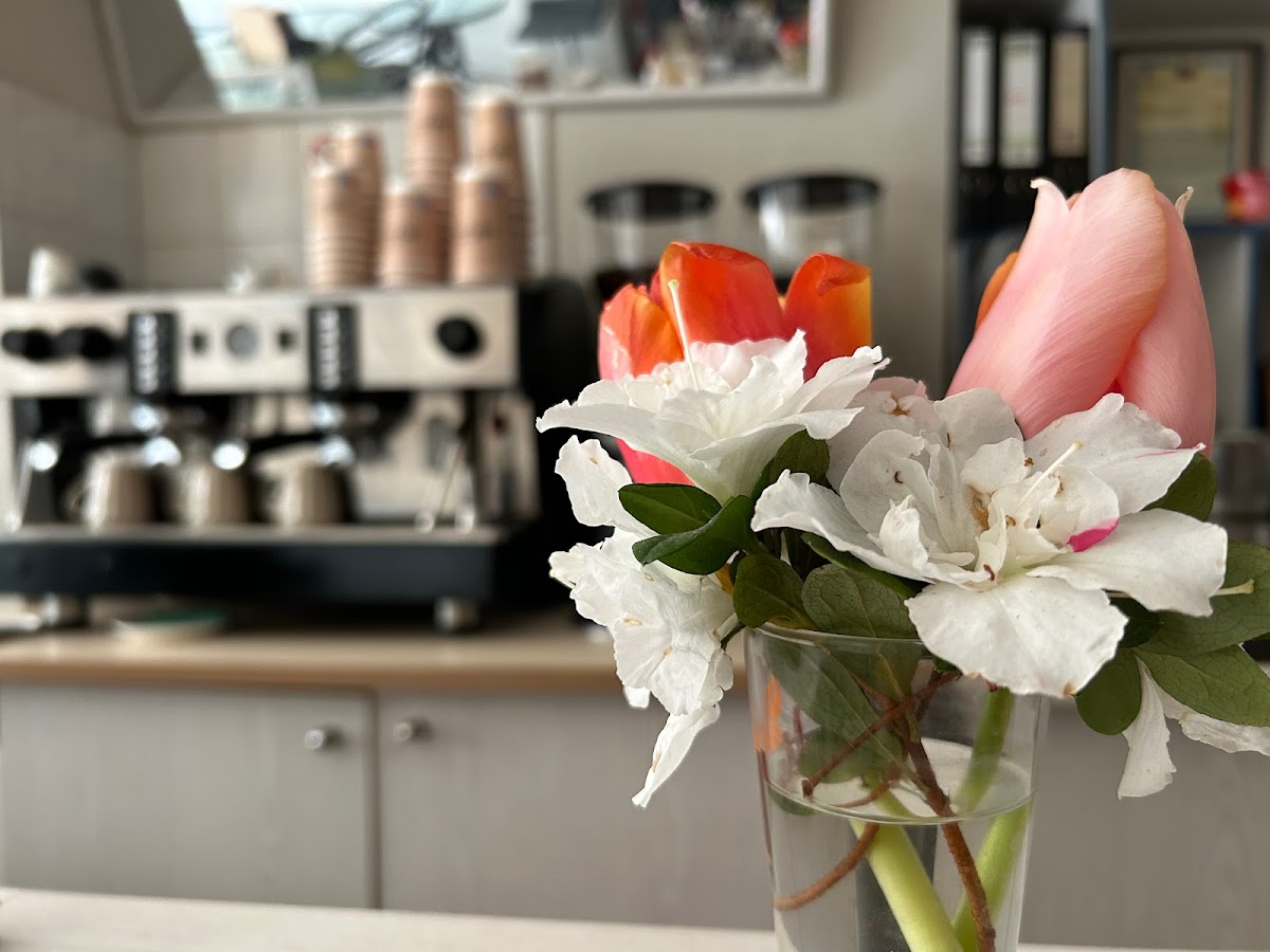 Photo of CUPpers