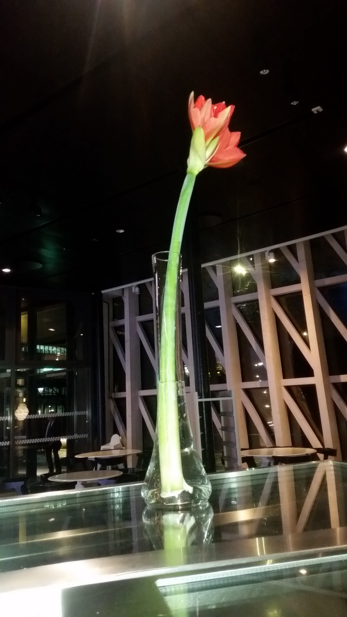 Photo of Café Erik Jorpes