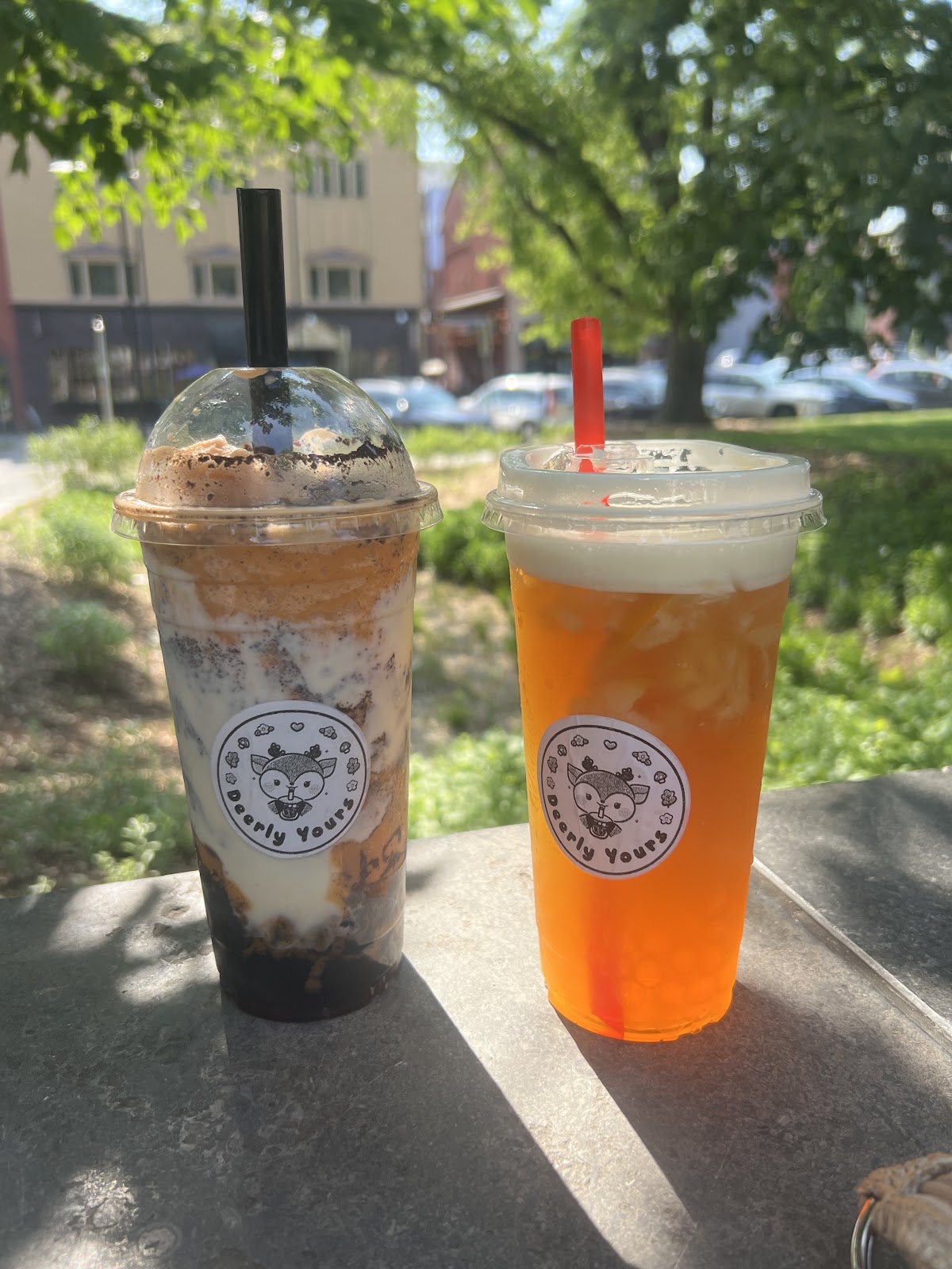 Deerly Yours Boba interior