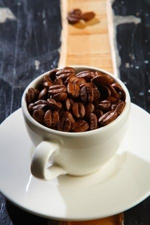 Java Bob's Coffee Roasting interior