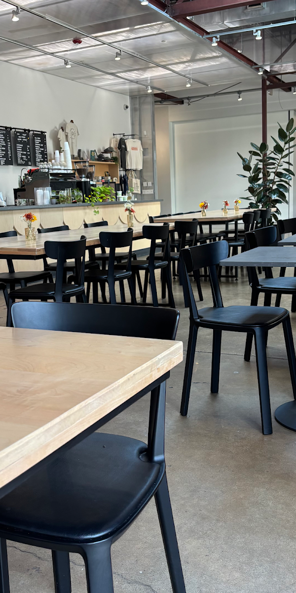 Paper Co. Coffee Bar interior