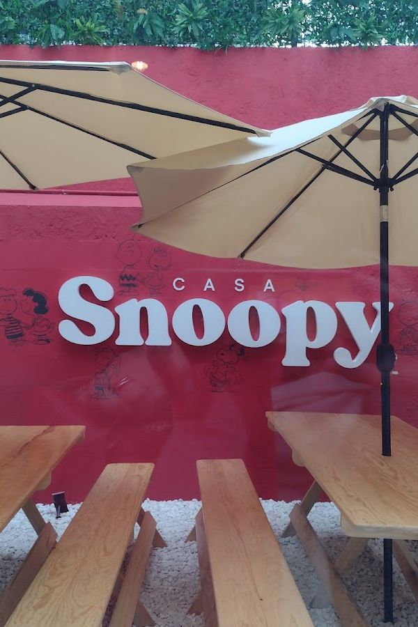Casa Snoopy Condesa interior