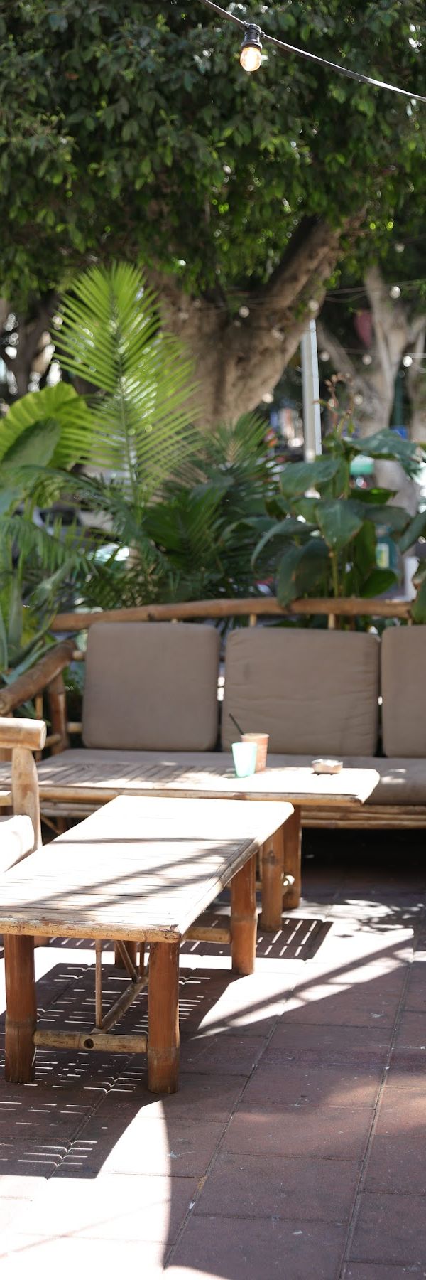 BarCafe interior