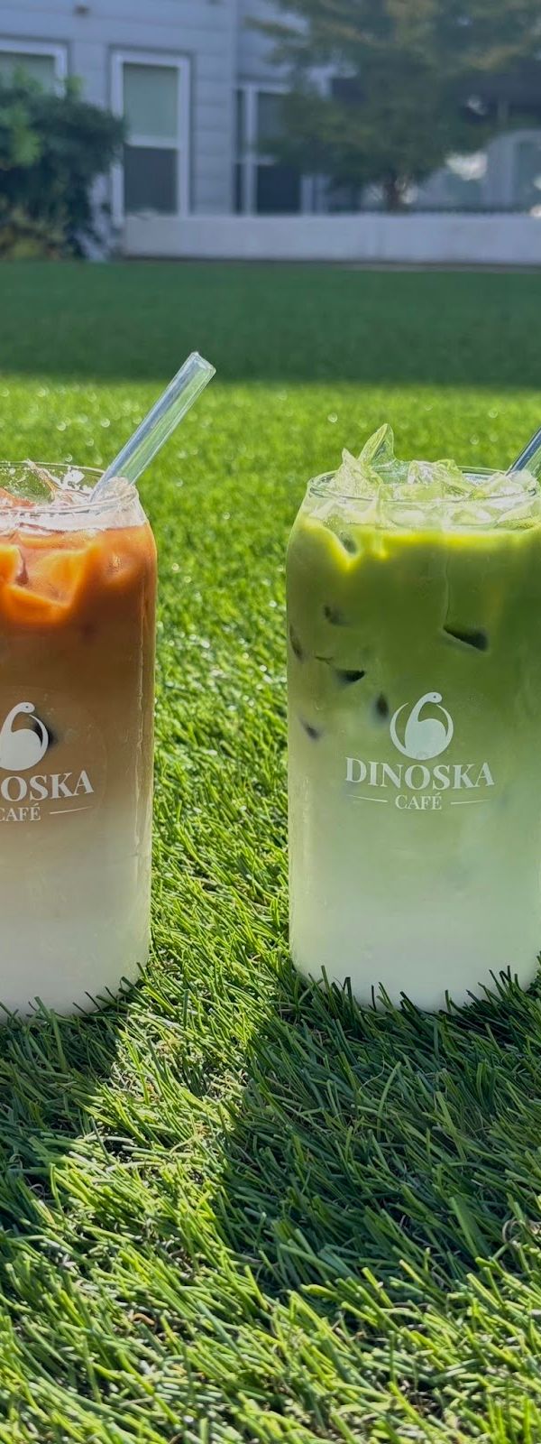 Dinoska Cafe interior