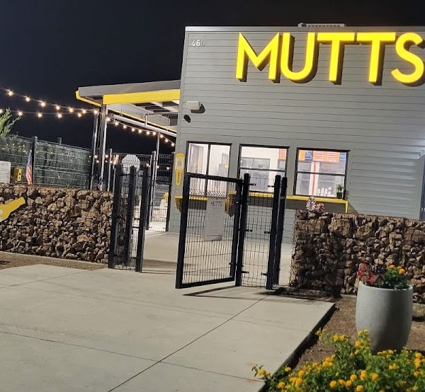 Double Dog Dare Bakery - owned by MUTTZ El Paso in Montecillo interior