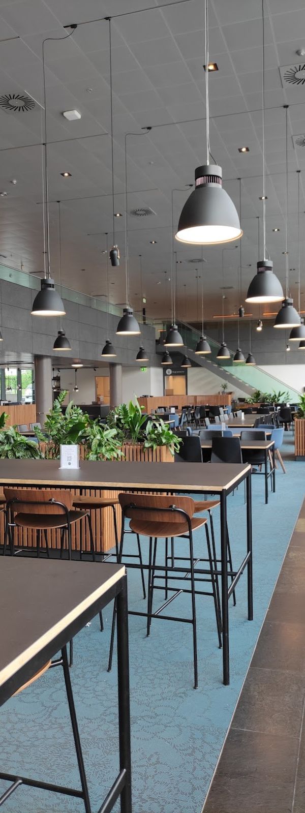 Café Nabo interior