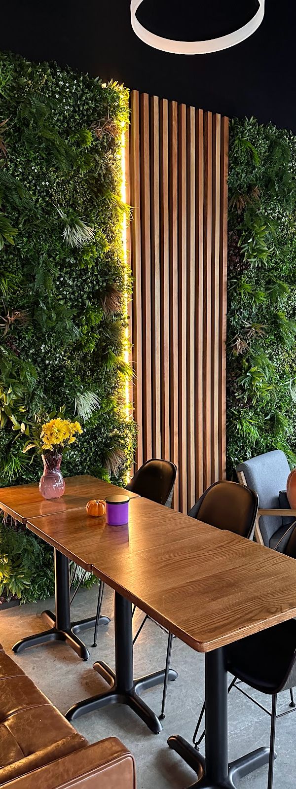 Operation Brew Coffee and Bakery interior