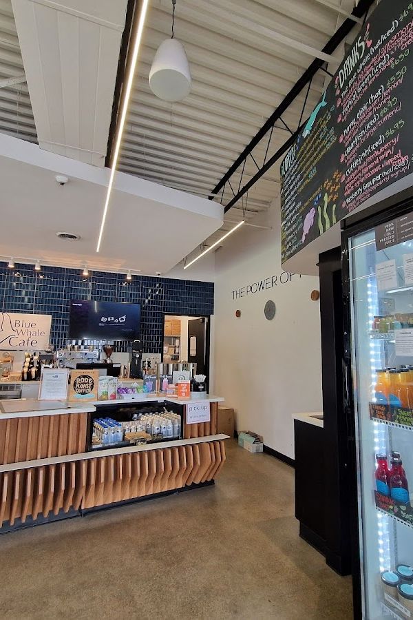 Blue Whale Cafe interior