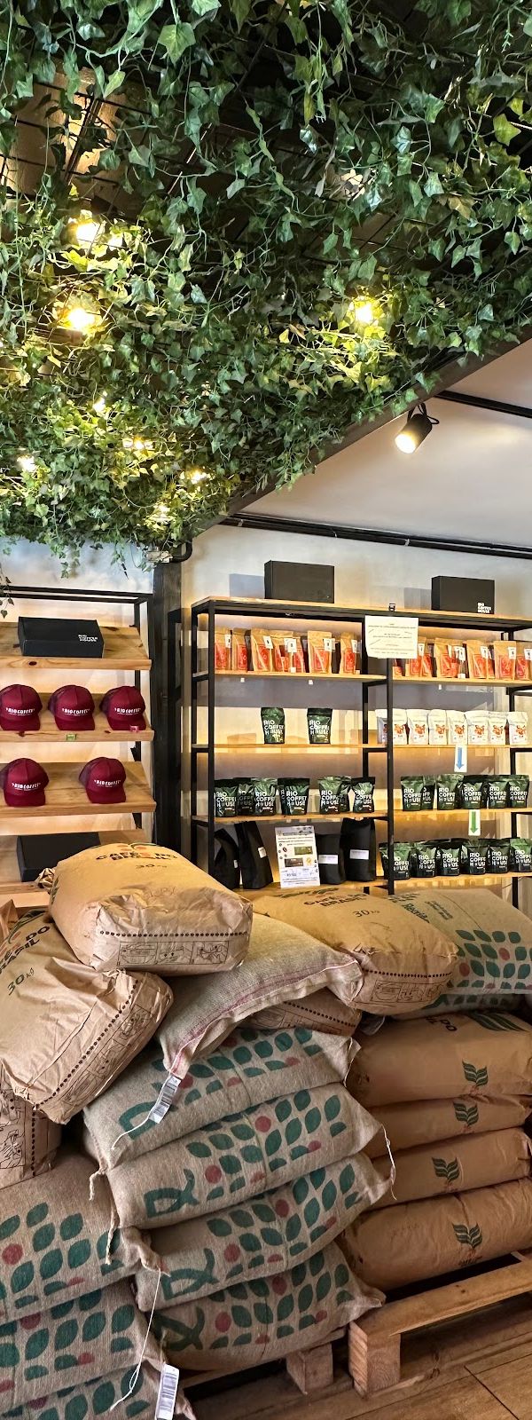 SPECIALTY COFFEE interior