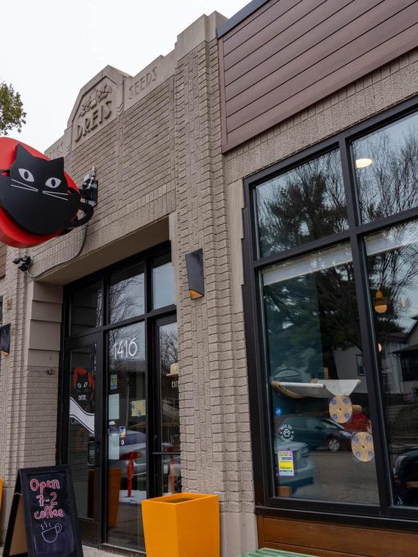 Catzen Coffee interior