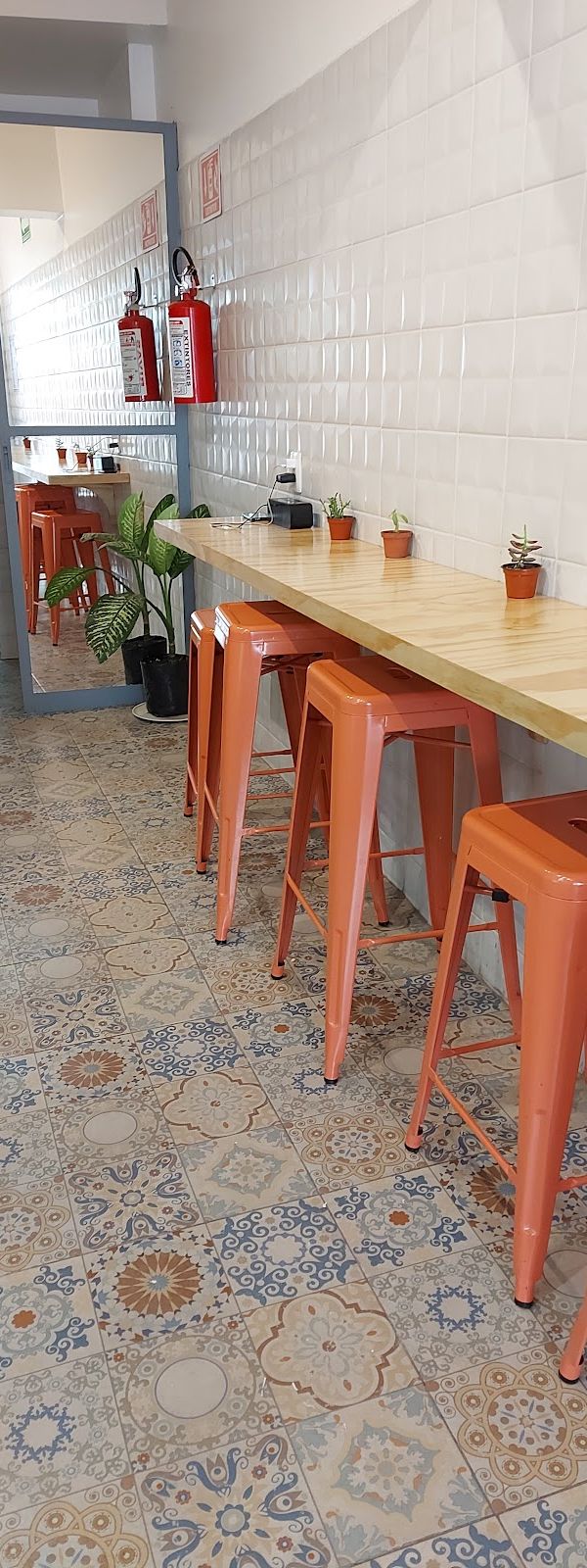 Begonia interior