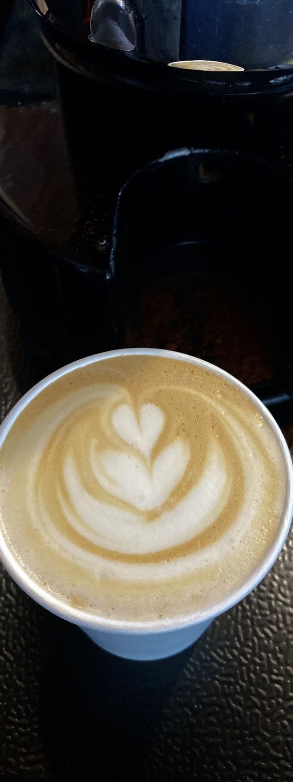 New Meadow Coffee interior