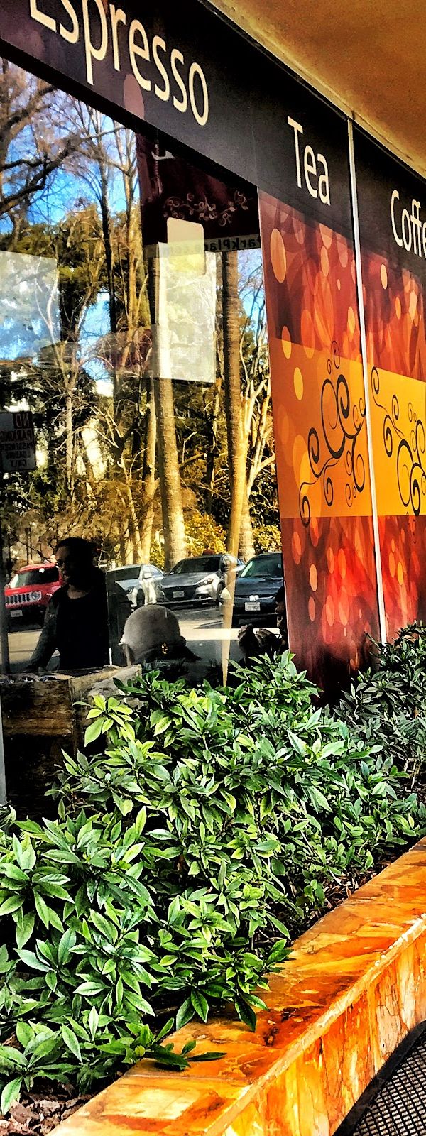 Barrio Downtown interior