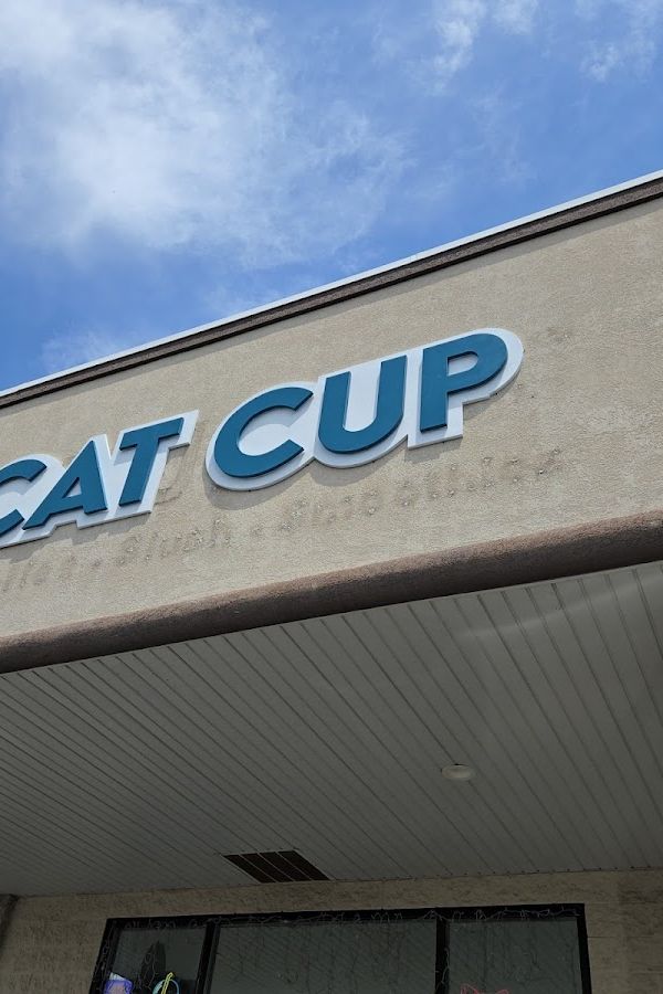 Cat Cup interior