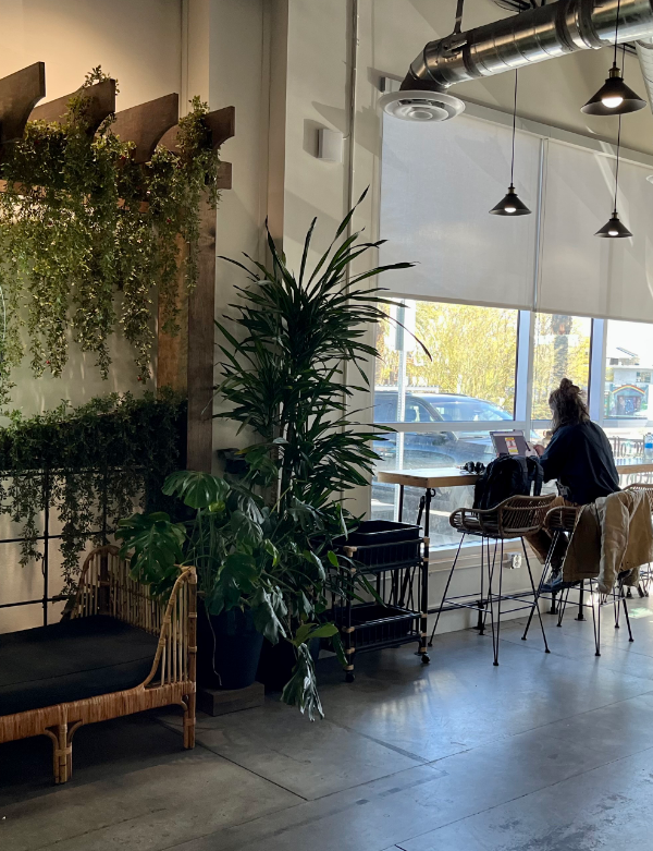 Bungalow Coffee Co interior