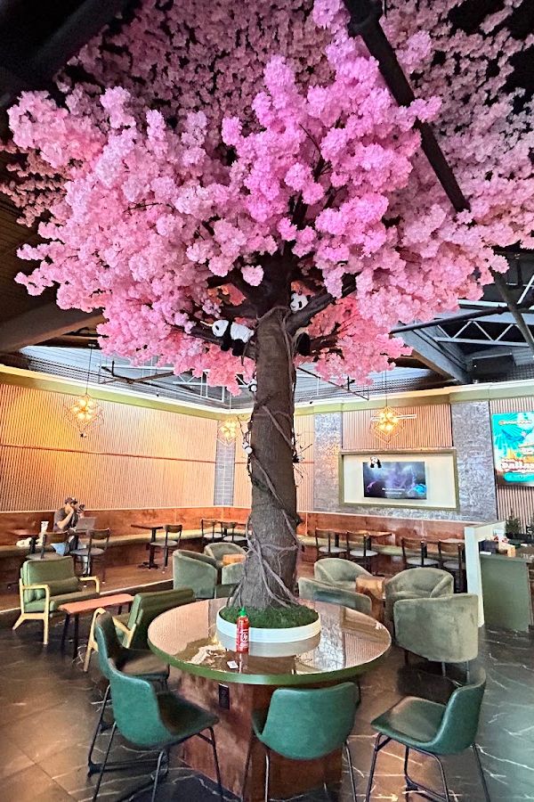 Pandacorn Cafe interior