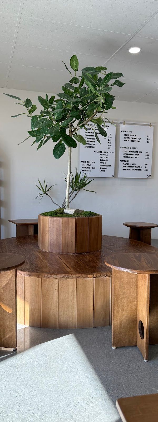 SSUM Coffee interior
