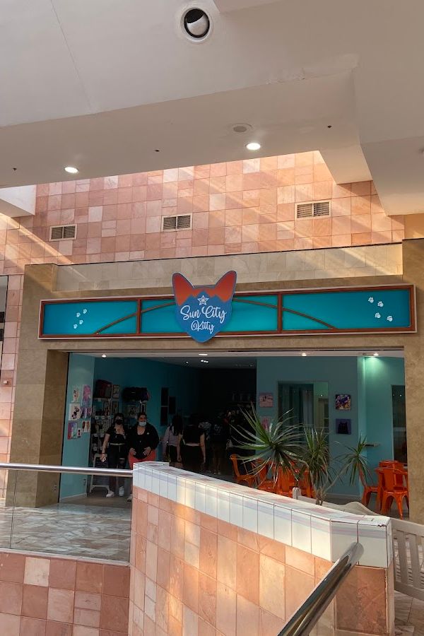 Sun City Kitty interior