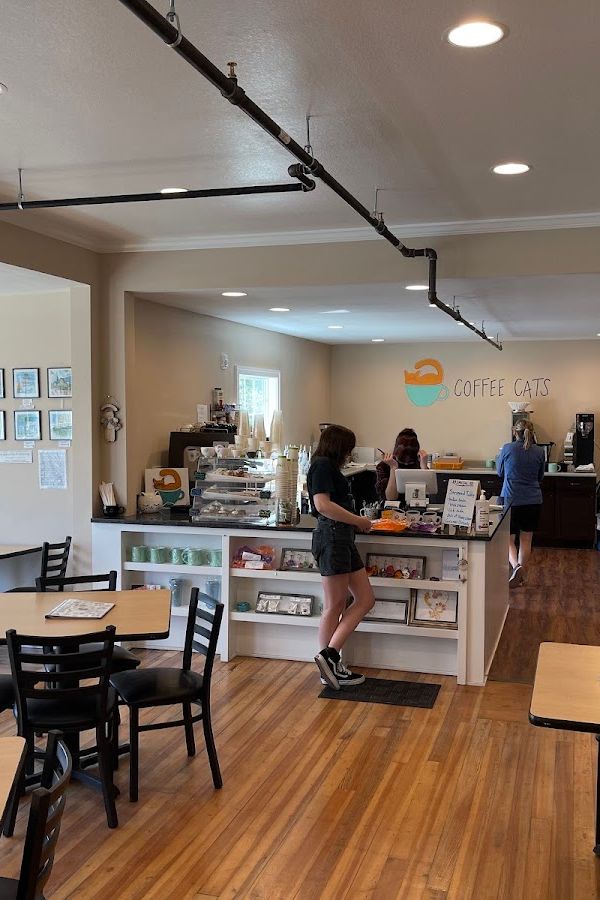 Coffee Cats Cafe interior