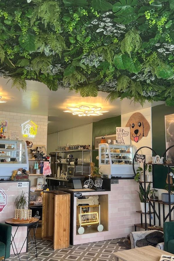Honney Doffee Coffee interior