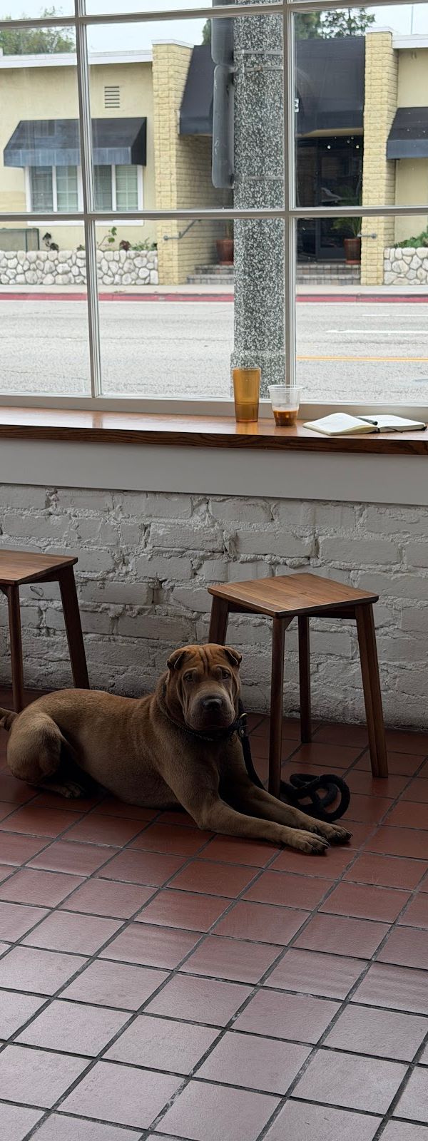 Cyclops Coffee interior